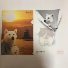 ソフトバンク＊Yモバイル ファイル