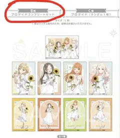 学マス 有楽町マルイ 特典 B賞 ブロマイドコンプリートセット