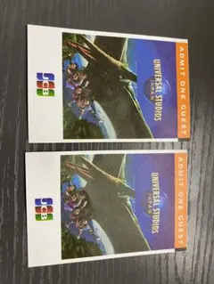 USJ チケット 大人2枚 ユニバーサルスタジオジャパン