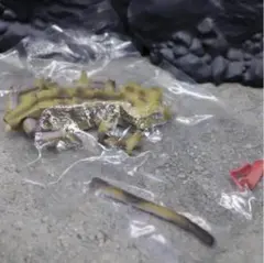 Item thumbnail for item ae05e69a-bcc6-455b-bf2f-fe588e606a6d