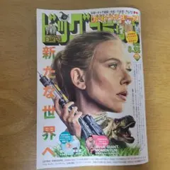 ビッグコミック