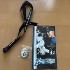 中田翔FIGHTERS 応援グッズチケットホルダーと缶バッチ