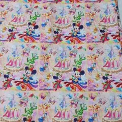 C105　ディズニー　生地　50×140