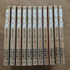 天智と天武 全巻　1〜11巻　全巻セット　ナムジと神武の全巻セット日本書記マンガ 天智と天武 コミック 1-11巻セット (ビッグ コミックス) | 園村