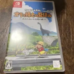 オラと博士の夏休み Nintendo Switch ソフトケースのみ