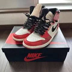 NIKE AIRJORDAN1 エアジョーダン1