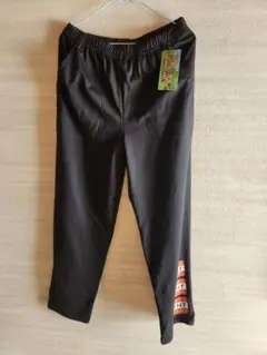 Item thumbnail for item 0960de2b-f6e3-4852-95f5-b4ffa72eba74