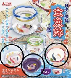 日本の風情　金魚鉢マスコット 伍 　ガチャガチャ　3種セット