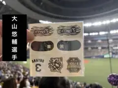 阪神タイガース TBDSアイブラックシール 大山選手