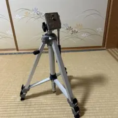 Item thumbnail for item 133eeef5-4f12-4c76-a9c0-500fef0e6fb9