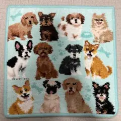フェイラーハンカチタオルＢ品 マイキュートパピーイヌ