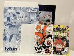 ハイキュー !! 祭り 非売品 着せ替えJCカバー 冊子