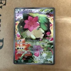 シェイミ CP5 幻·伝説ドリームキラコレクション 004/036 - メルカリ