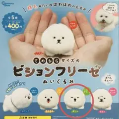 てのひらサイズのビションフリーゼぬいぐるみ ぼーっ