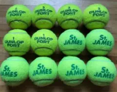 DUNLOP FORT ST テニスボール 12個セット