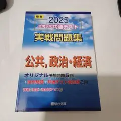 新品 駿台 2025 大学入学共通テスト 実戦問題集 公共、政治・経済
