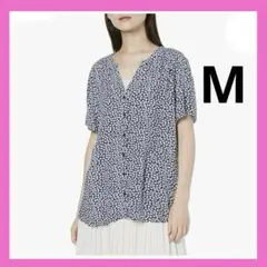 Item thumbnail for item 85d93157-fd34-4e1e-bf62-54434725c0bd