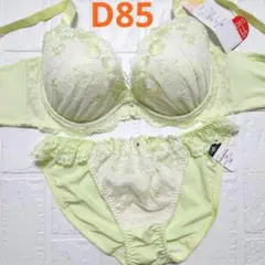 【新品未使用】格安！ブラショーツセット D85 5222 ライトグリーン 綺麗