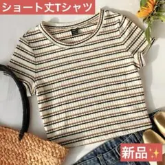 ✨新品未使用✨ショート丈Tシャツ✨ボーダー レディース Tシャツ