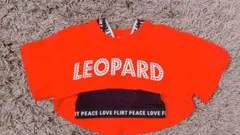 LEOPARDプリントクロップトップセット