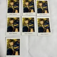あんさんぶるスターズ 高峯翠 ぱしゃっつ vol.5 Action
