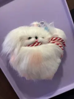 いぬ　ぬいぐるみ