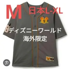 Item thumbnail for item d7527934-f08d-4239-91d4-f75f2d0a8883