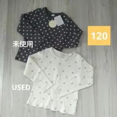 テータテート ドット柄&たんぽぽ柄ロンT 2枚