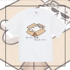 特価✨オープンエンドヘヴィーウェイトTシャツ ゆるい 休日用 ホワイトXLサイズ