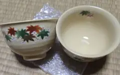 Item thumbnail for item 9e8006df-01a3-4fe3-98b8-f6c540645aa8