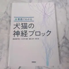 Item thumbnail for item 9d157167-12df-4526-b7ba-86c6a4cc41ec