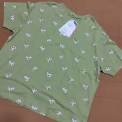 Item thumbnail for item 91d0cd36-3195-4b1b-8028-2061d9f5d25f