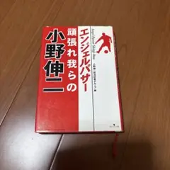 エンジェルパサー頑張れ我らの小野伸二
