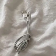 【達さま専用の】Lightningケーブル