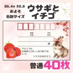 【ウサギとイチゴ】宛名シール　差出人シール　普通サイズ　40枚　　動物　ウサギ
