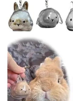 Item thumbnail for item df3fd52b-9ffb-43c5-ae50-11493897db5a