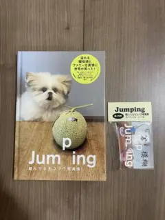 モコゾウ　写真集　新品未開封　非売品ステッカー付き　みうらじゅん