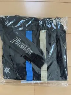 ファイターズ 公式ファンクラブ ビックバッグ