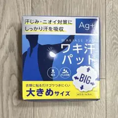 Item thumbnail for item 4aaf9699-1222-485a-90a0-e1f66ea509cd