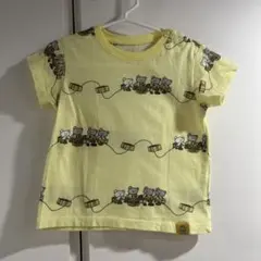 ユニクロ　こぐまちゃん　Tシャツ　80