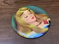 ディズニー　眠れる森の美女　アートミラー