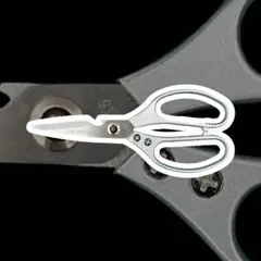 Item thumbnail for item e30d2dfb-15ee-448d-a4e0-7384f2468635