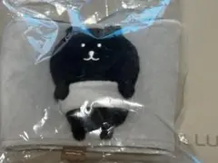 Item thumbnail for item 90545a23-7f8e-4eba-9c43-cad4ab619a8f