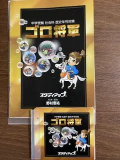 2025年最新】スタディアップ フラッシュカードの人気アイテム