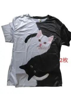 Item thumbnail for item c7267b37-c9fc-43aa-a4d2-f80f6f00b616