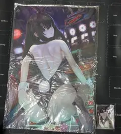 新品未開封　アイドルマスター 鷺沢文香　プレイマット　スリーブ　セット