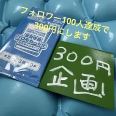 【３００円企画】第二弾 ポケモンカードゲーム　熱風のアリーナ プロモ