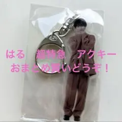 ハル　アクキー　キーホルダー　お試し　超特急