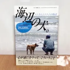田舎暮らしの本 海辺の犬 2024年8月号 付録