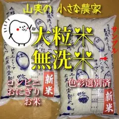新米 棚田の幻の 大粒米 酵素米 お米 玄米 10キロ「無洗米 に精米」希少